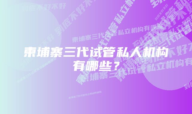 柬埔寨三代试管私人机构有哪些?