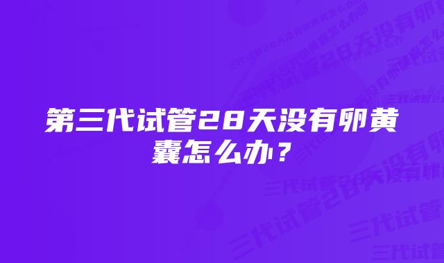 第三代试管28天没有卵黄囊怎么办?