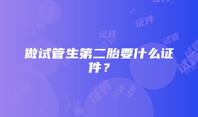 做试管生第二胎要什么证件?