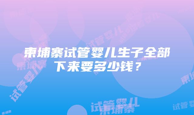 柬埔寨试管婴儿生子全部下来要多少钱?