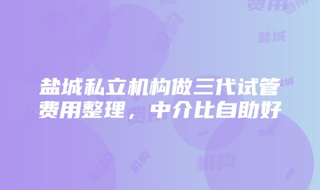 盐城私立机构做三代试管费用整理,中介比自助好