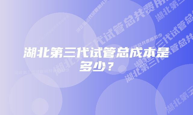 湖北第三代试管总成本是多少?