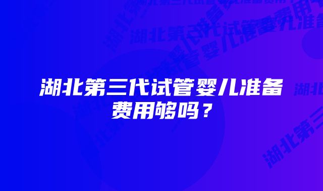 湖北第三代试管婴儿准备费用够吗?