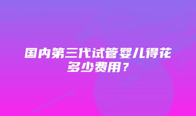 国内第三代试管婴儿得花多少费用?