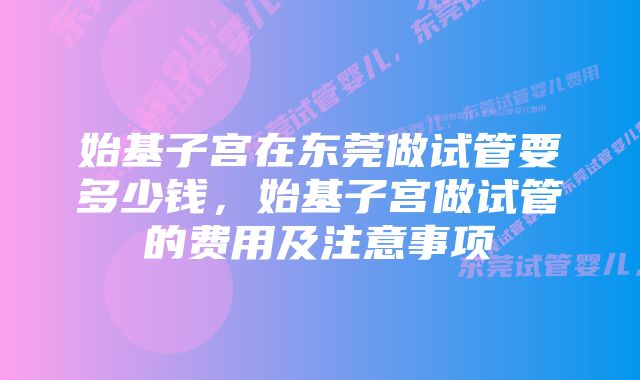 始基子宫在东莞做试管要多少钱,始基子宫做试管的费用及注意事项