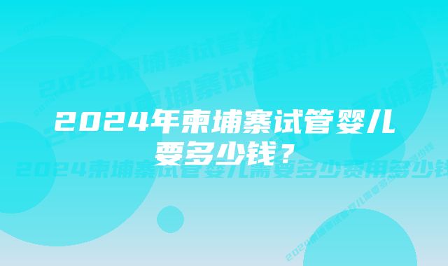 2024年柬埔寨试管婴儿要多少钱?