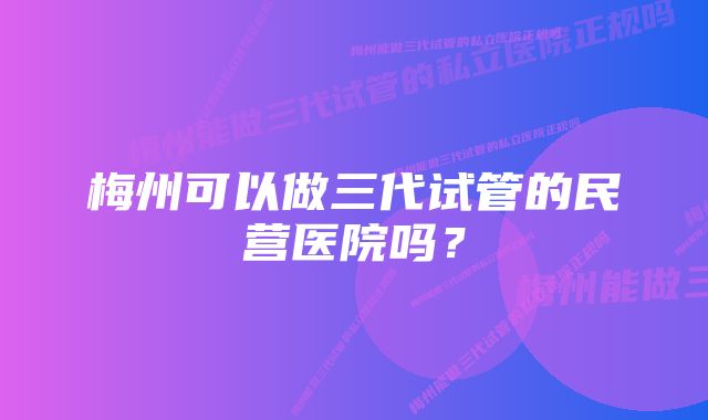 梅州可以做三代试管的民营医院吗?