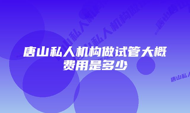 唐山私人机构做试管大概费用是多少