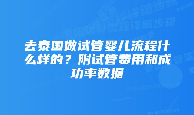去泰国做试管婴儿流程什么样的?附试管费用和成功率数据