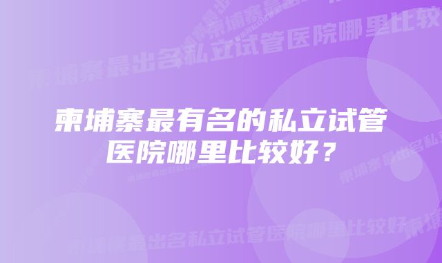 柬埔寨最有名的私立试管医院哪里比较好？