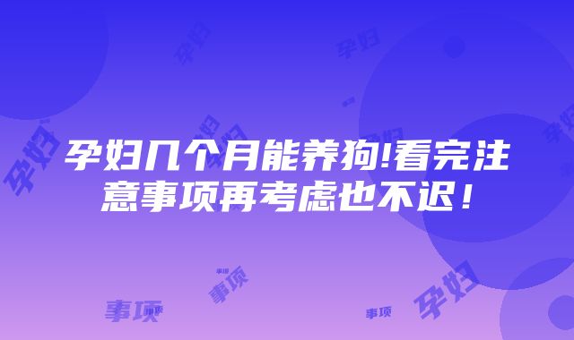 孕妇几个月能养狗!看完注意事项再考虑也不迟!