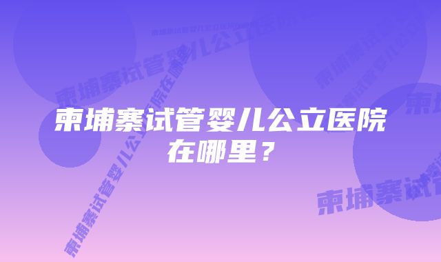柬埔寨试管婴儿公立医院在哪里?