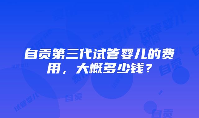自贡第三代试管婴儿的费用,大概多少钱?