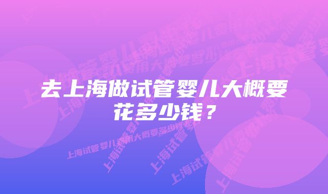 去上海做试管婴儿大概要花多少钱?
