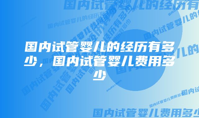 国内试管婴儿的经历有多少,国内试管婴儿费用多少