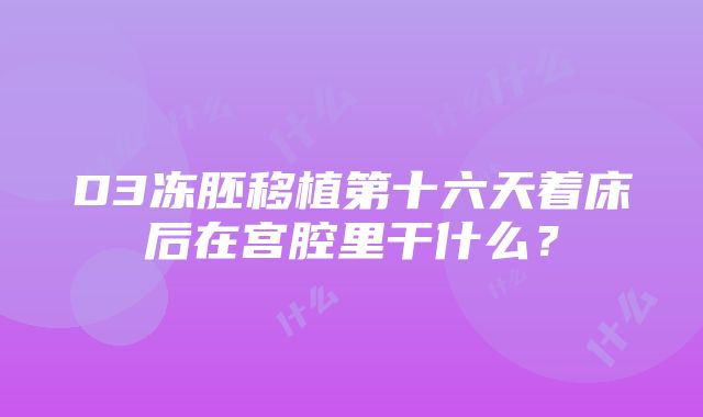 D3冻胚移植第十六天着床后在宫腔里干什么?