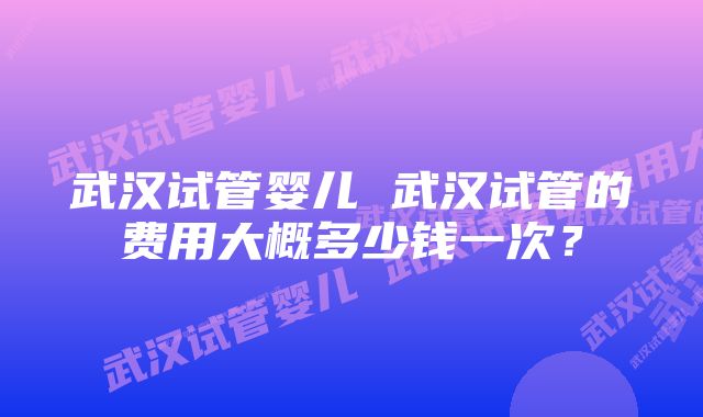 武汉试管婴儿 武汉试管的费用大概多少钱一次?