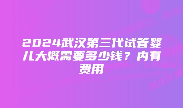 2024武汉第三代试管婴儿大概需要多少钱?内有费用