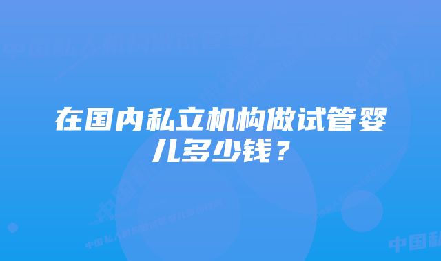 在国内私立机构做试管婴儿多少钱?
