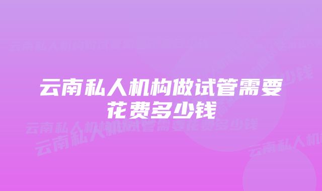 云南私人机构做试管需要花费多少钱