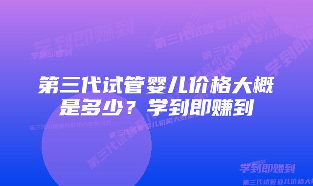 第三代试管婴儿价格大概是多少?学到即赚到