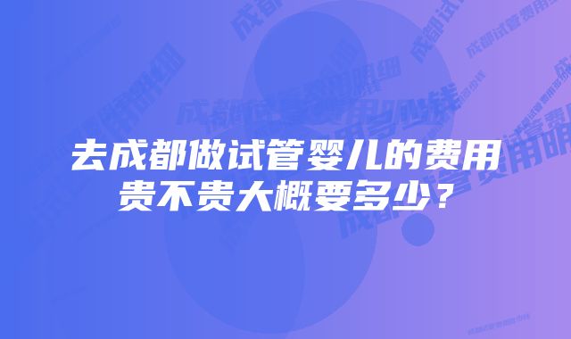 去成都做试管婴儿的费用贵不贵大概要多少?