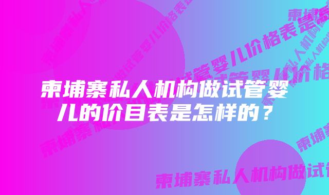 柬埔寨私人机构做试管婴儿的价目表是怎样的?