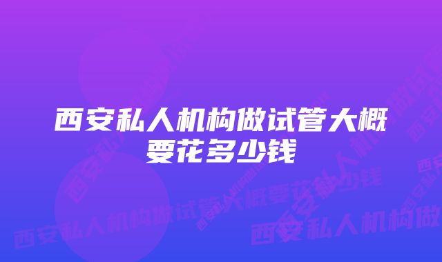 西安私人机构做试管大概要花多少钱