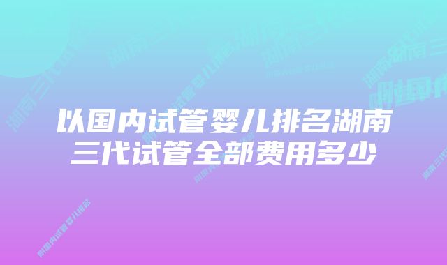 以国内试管婴儿排名湖南三代试管全部费用多少