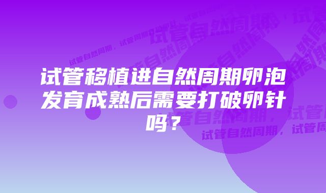 试管移植进自然周期卵泡发育成熟后需要打破卵针吗？