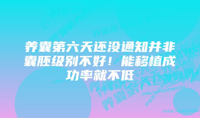 养囊第六天还没通知并非囊胚级别不好!能移植成功率就不低