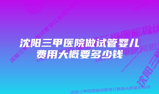 沈阳三甲医院做试管婴儿费用大概要多少钱