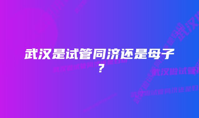 武汉是试管同济还是母子?