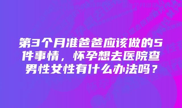 第3个月准爸爸应该做的5件事情,怀孕想去医院查男性女性有什么办法吗?