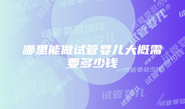 哪里能做试管婴儿大概需要多少钱