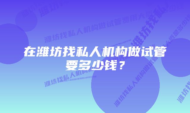 在潍坊找私人机构做试管要多少钱?