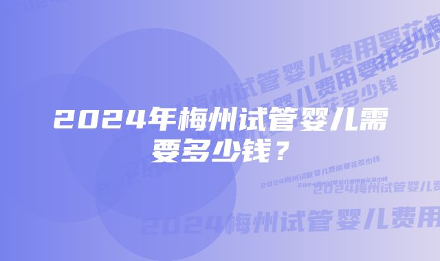 2024年梅州试管婴儿需要多少钱?