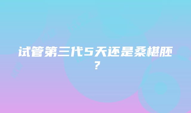 试管第三代5天还是桑椹胚?