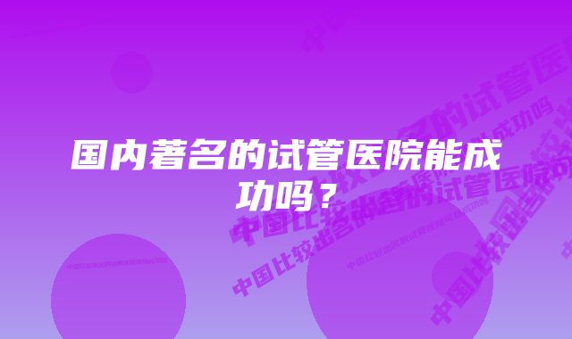 国内著名的试管医院能成功吗?
