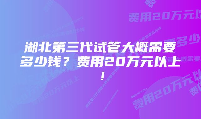 湖北第三代试管大概需要多少钱?费用20万元以上!