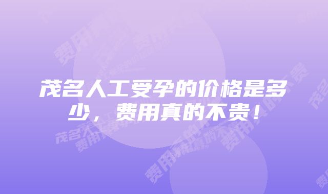 茂名人工受孕的价格是多少，费用真的不贵！