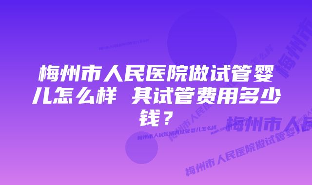 梅州市人民医院做试管婴儿怎么样 其试管费用多少钱?