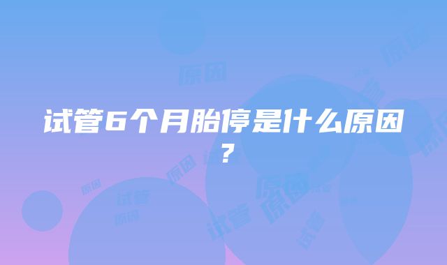 试管6个月胎停是什么原因?