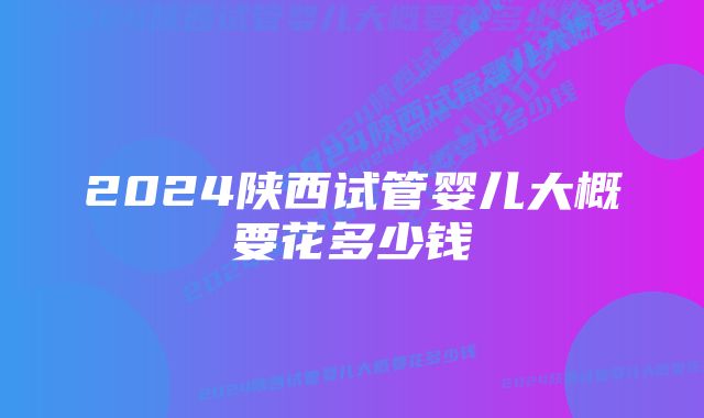 2024陕西试管婴儿大概要花多少钱