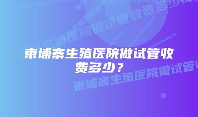 柬埔寨生殖医院做试管收费多少?