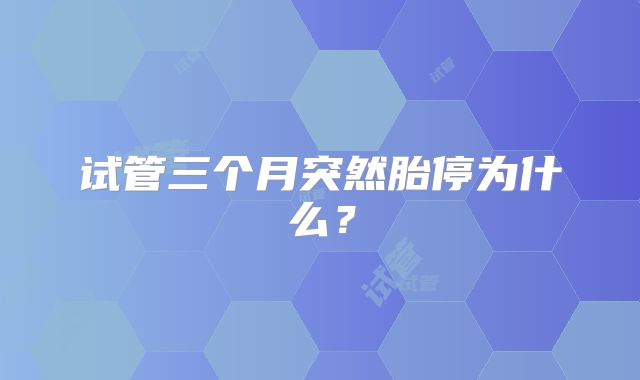 试管三个月突然胎停为什么?