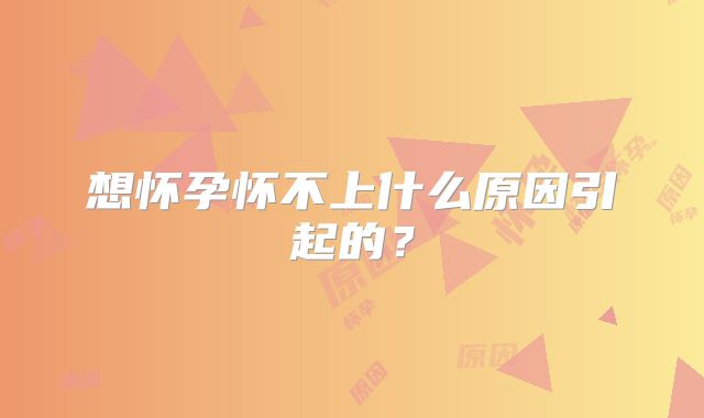 想怀孕怀不上什么原因引起的?