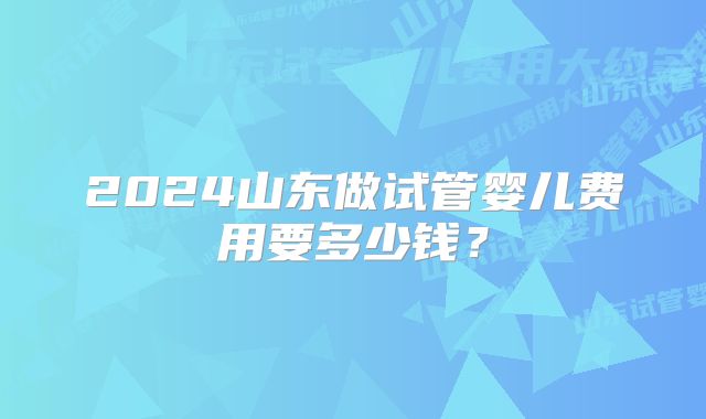 2024山东做试管婴儿费用要多少钱?