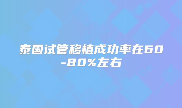泰国试管移植成功率在60-80%左右